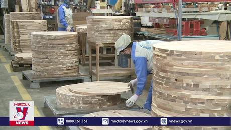 Ứng phó trước biến động của thị trường vận tải biển