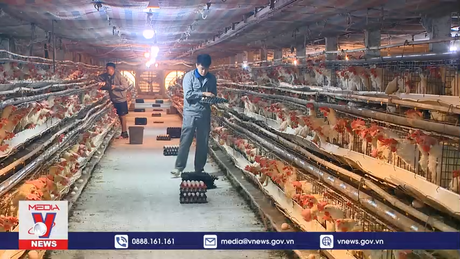 Chuyển đổi số trong xây dựng nông thôn mới