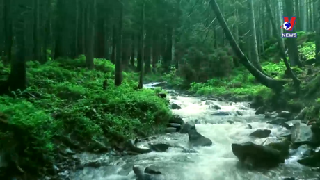 Khoảnh khắc & Sự kiện ngày 21/3/2024