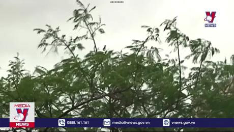 Hưởng ứng Ngày nước, Ngày khí tượng thế giới và Chiến dịch Giờ trái đất