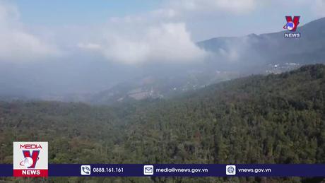 Việt Nam nhận 1.200 tỉ đồng từ bán tín chỉ carbon rừng 