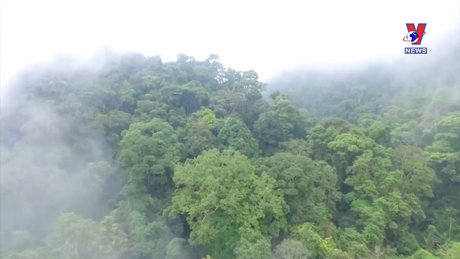 Bản tin tiếng Anh ngày 22/3/2024