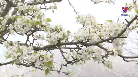 Bản tin tiếng Trung ngày 22/3/2024