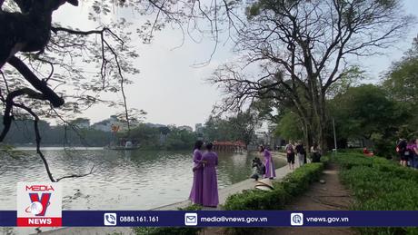 Có một Hà Nội đẹp dịu dàng mùa cây thay lá