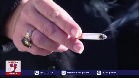 Hút thuốc lá làm tăng mỡ bụng và nguy cơ mắc bệnh mãn tính