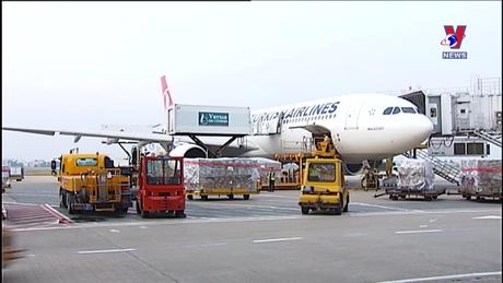 Đường dây nóng 389 ngày 23/3/2024