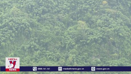 Một chuyến tuần tra bảo vệ rừng