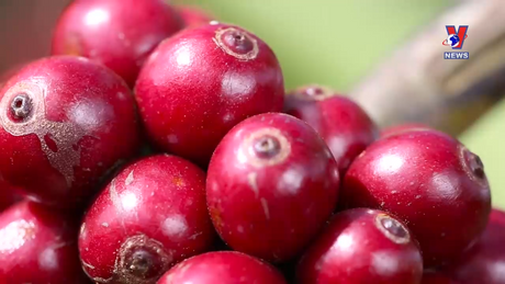 Bản tin tiếng Tây Ban Nha ngày 24/3/2024