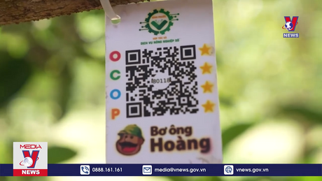 Gắn mã định danh cho cây trồng và hành trình nhân rộng nông nghiệp số