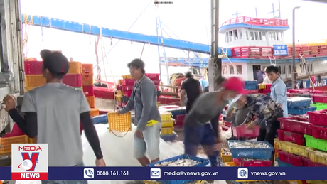 Hướng tới mục tiêu gỡ thẻ vàng IUU