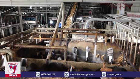 Phú Yên xử phạt doanh nghiệp xả thải ra môi trường