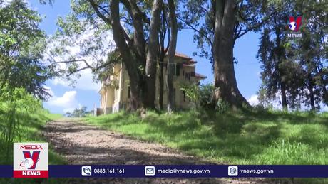 Đà Lạt dự kiến đấu giá 25 biệt thự, nhà đất 