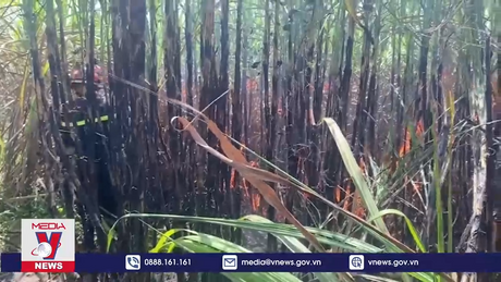 Gia Lai kịp thời hỗ trợ người dân thu hoạch 40 ha mía cháy