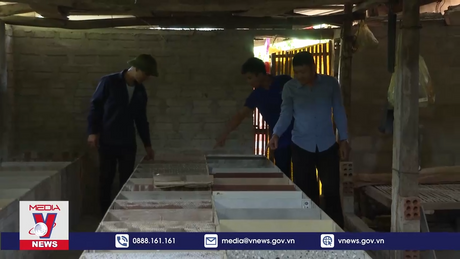 Thanh niên đồng hành với nông dân trong kết nối sản xuất nông sản