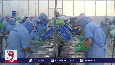 Mỹ tăng nhẹ thuế chống bán phá giá cá tra Việt Nam