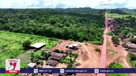 Brazil và Pháp phối hợp bảo vệ rừng Amazon