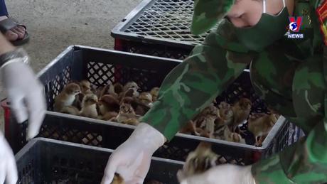 Đường dây nóng 389 ngày 27/3/2024