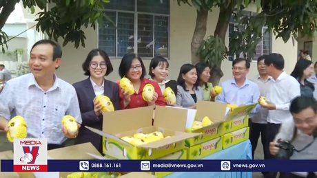 An Giang xuất khẩu lô xoài keo đầu tiên sang Hàn Quốc