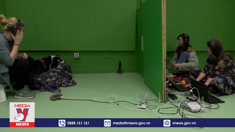 Phát hiện khả năng đặc biệt của loài chó