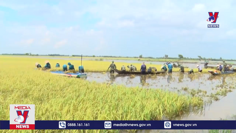 Sáng tác tranh cổ động chào mừng 80 năm thành lập QĐND Việt Nam 