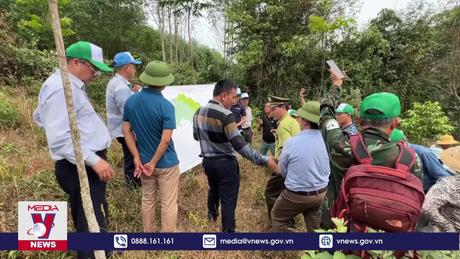 Quảng Bình xã hội hóa nguồn lực phục hồi rừng