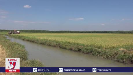 Đồng bào thiểu số vùng biên hưởng lợi từ thủy lợi khi khô hạn