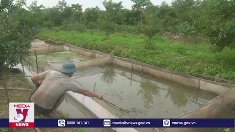 Nước mặn xâm nhập ảnh hưởng đến cuộc sống người dân