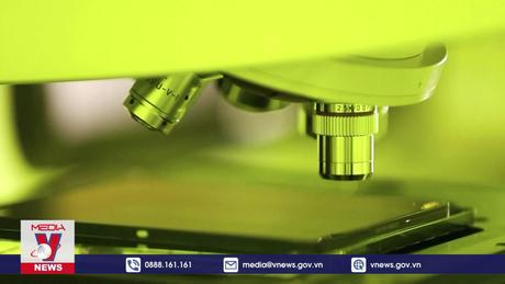 Samsung Electronics tụt hạng trên thị trường bán dẫn thế giới