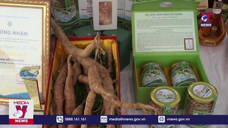 Kết nối, xúc tiến tiêu thụ sản phẩm Sâm Nam Núi Dành