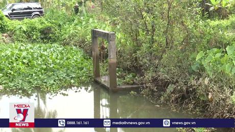 Nỗ lực bảo vệ vùng chuyên canh cây ăn quả đặc sản trước hạn mặn