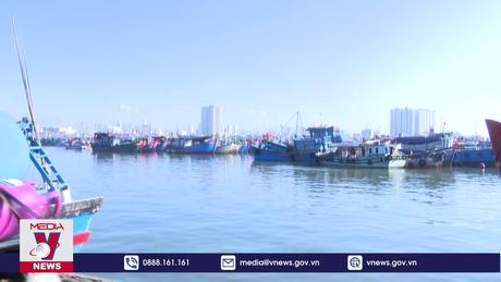 Khánh Hòa phối hợp kiểm soát tàu cá hoạt động ngoài tỉnh