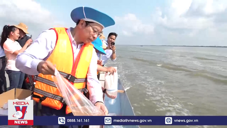 Sóc Trăng thả 2 triệu con giống tái tạo nguồn lợi thuỷ sản