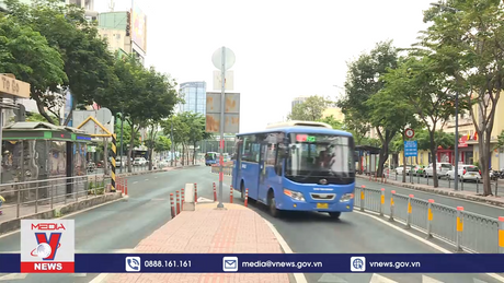 TP.HCM thay gần 240 xe mới cho 16 tuyến buýt chất lượng cao