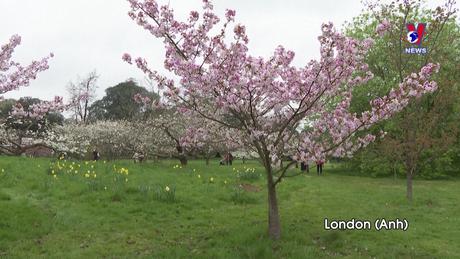 Thú vị năm châu ngày 28/3/2024