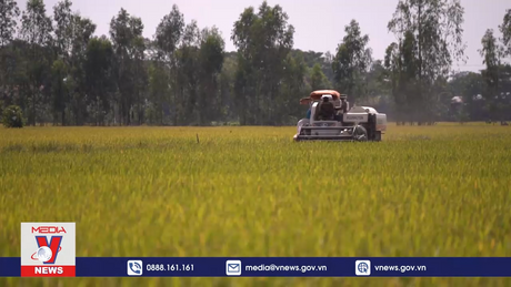 Phấn đấu xuất khẩu nông sản đạt 54-55 tỷ USD