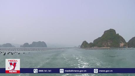 Nuôi biển hướng đến giá trị 2 tỷ USD