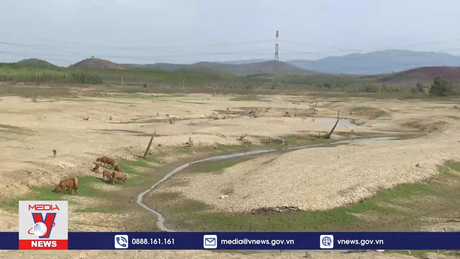 Hàng nghìn ha đất huyện Hàm Thuận Nam bỏ hoang vì hạn hán