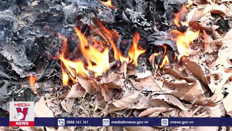 Tây Ninh chủ động ứng phó với nguy cơ cháy rừng mùa khô