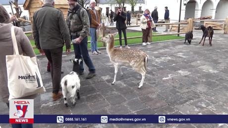 Mô hình nhà nghỉ trang trại độc đáo ở Bỉ