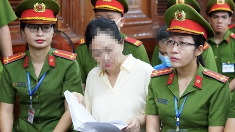 Trương Mỹ Lan xin tòa miễn án phạt cho chồng và cháu ruột 