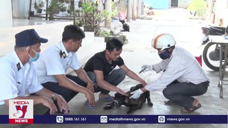 Đắk Lắk cấp bách triển khai biện pháp phòng, chống bệnh dại