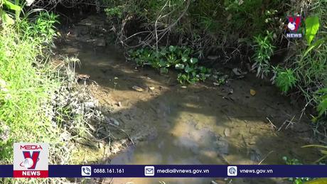 Hạn hán căng thẳng tại Đồng Tháp