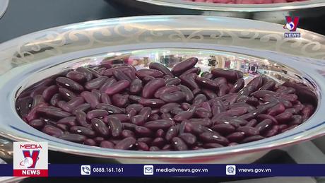 Khai mạc Hội chợ Vietnam Expo lần thứ 33