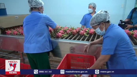 Xuất khẩu là điểm sáng của kinh tế quý I