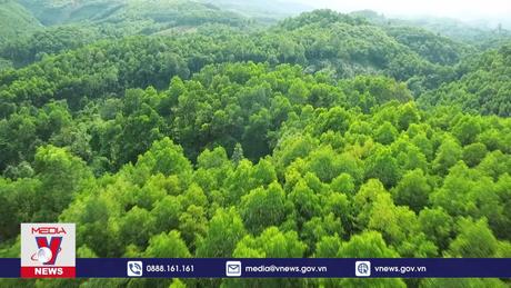 Lên kế hoạch khai thác giá trị đa dụng từ rừng