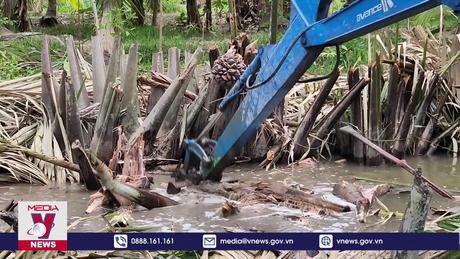 Nhiều giải pháp xuống giống tập trung vụ Hè Thu ứng phó với hạn, mặn