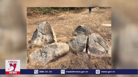 Phát hiện thêm nhiều khối đá cổ khắc họa hình ruộng bậc thang