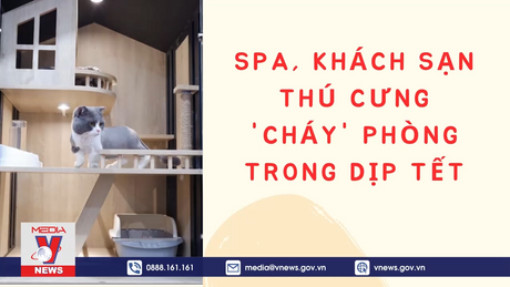 Spa, khách sạn thú cưng 'cháy' phòng trong dịp Tết