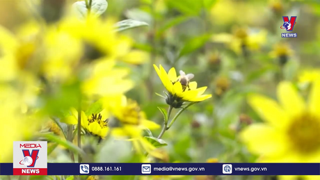 Bản tin Thời sự 21h ngày 4/4/2024