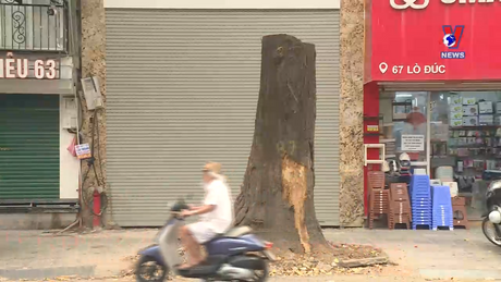 Đối thoại Hà Nội: ''Bức tử